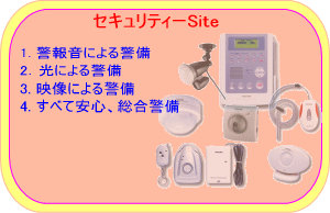 ZLeB[Site